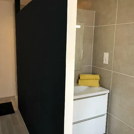 Apartment Fraichement Renove, Spacieux, Quartier Calme, Le Cocon De Lena *